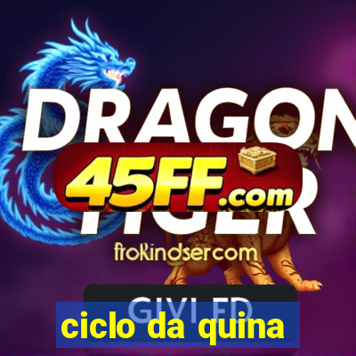 ciclo da quina